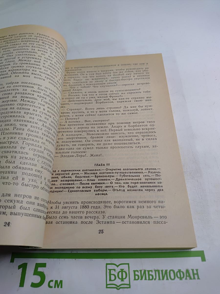 Приключения в стране львов