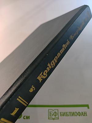 Временщики и фаворитки XVI, XVII и XVIII столетий. Том 1