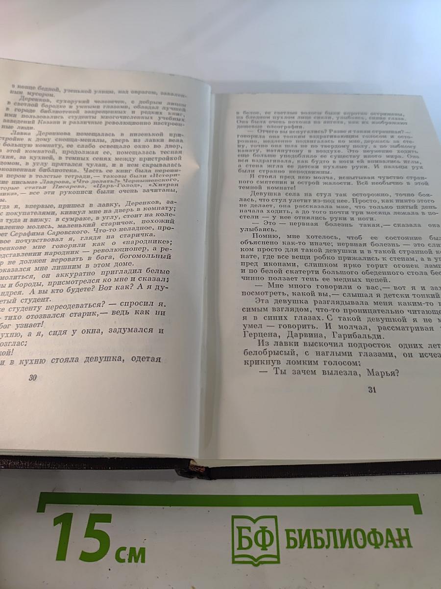 Собрание сочинений. Том шестнадцатый. Повесть. Рассказы, очерки. Стихи. 1917-1924