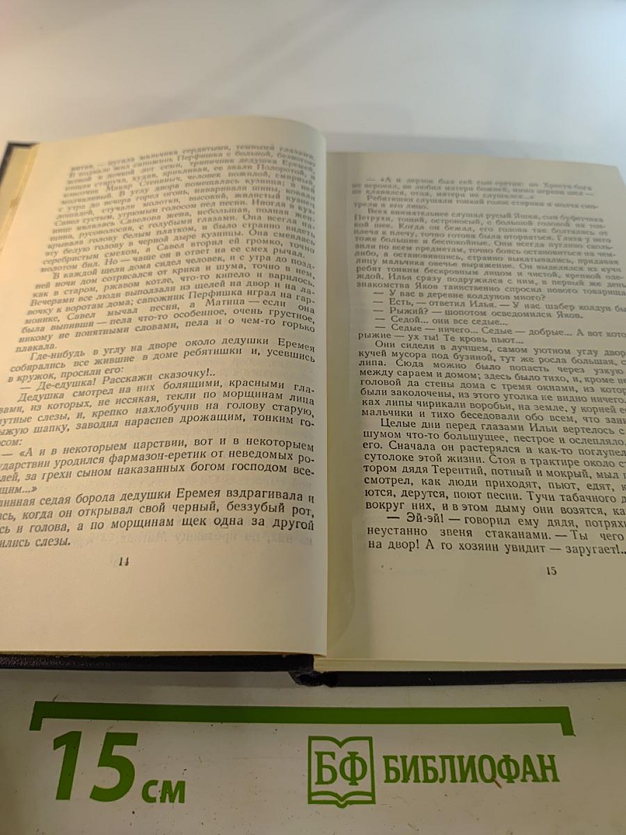 Собрание сочинений в тридцати томах. Том 5: Повести, рассказы, очерки, стихи 1900-1906