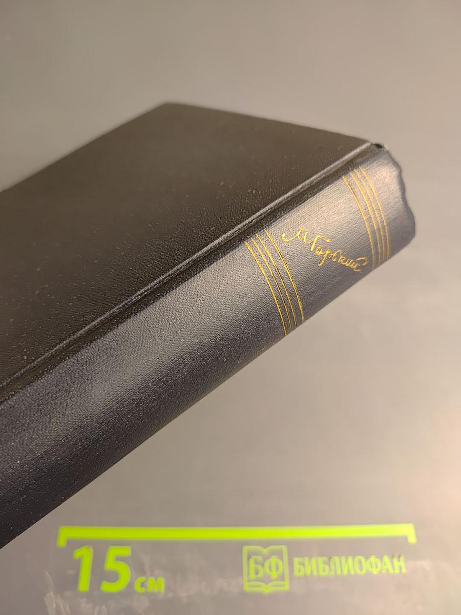 М. Горький. Собрание сочинений. Том 17. Рассказы, очерки, воспоминания 1924-1936