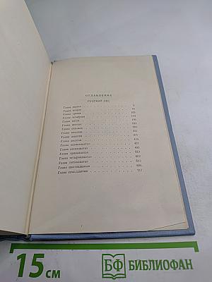 Русский лес