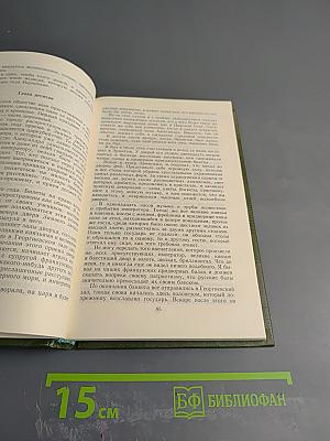 Учитель фехтования, Мученики, Черный тюльпан