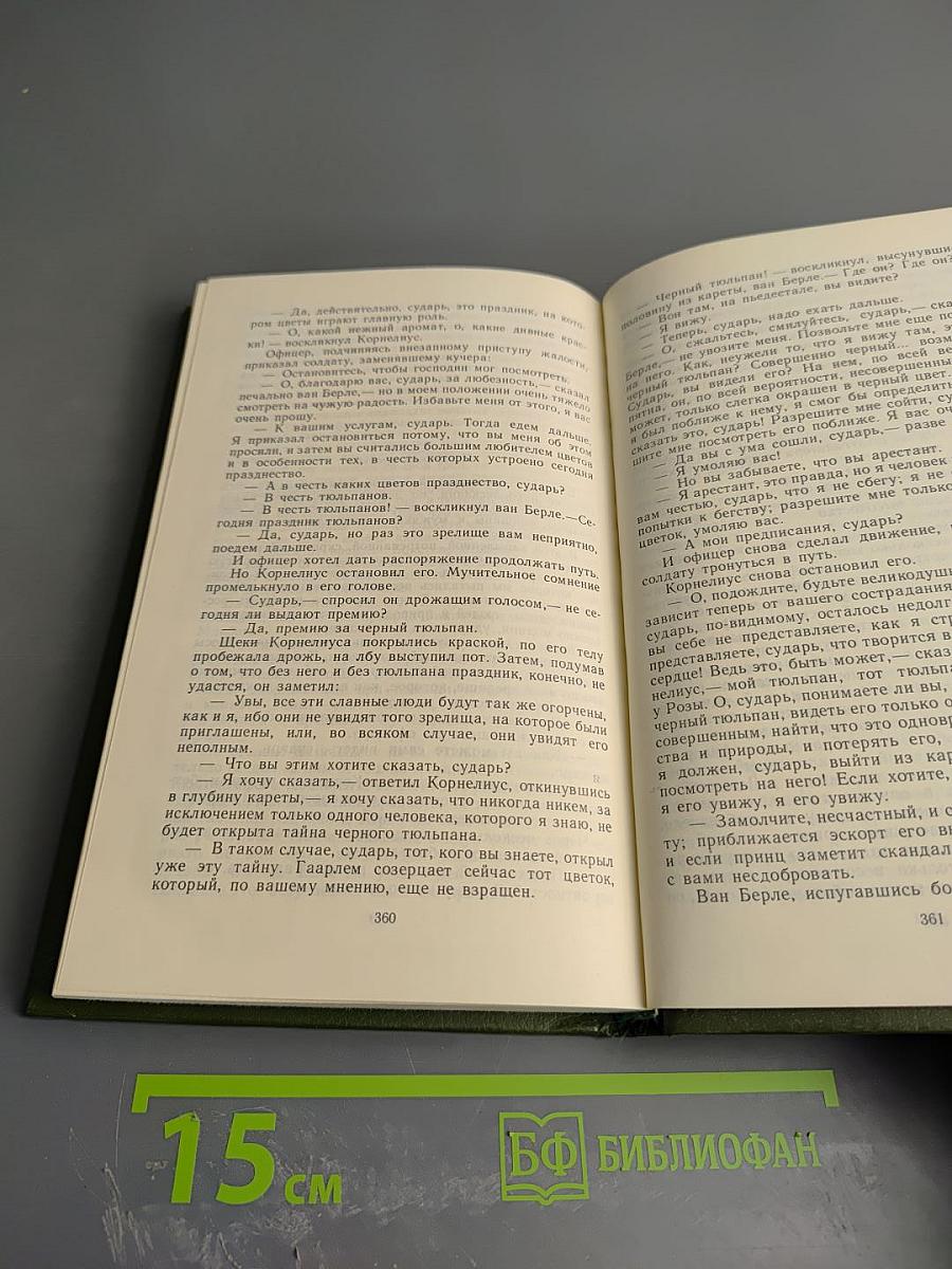 Учитель фехтования, Мученики, Черный тюльпан