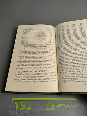 Учитель фехтования, Мученики, Черный тюльпан