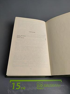 Учитель фехтования, Мученики, Черный тюльпан