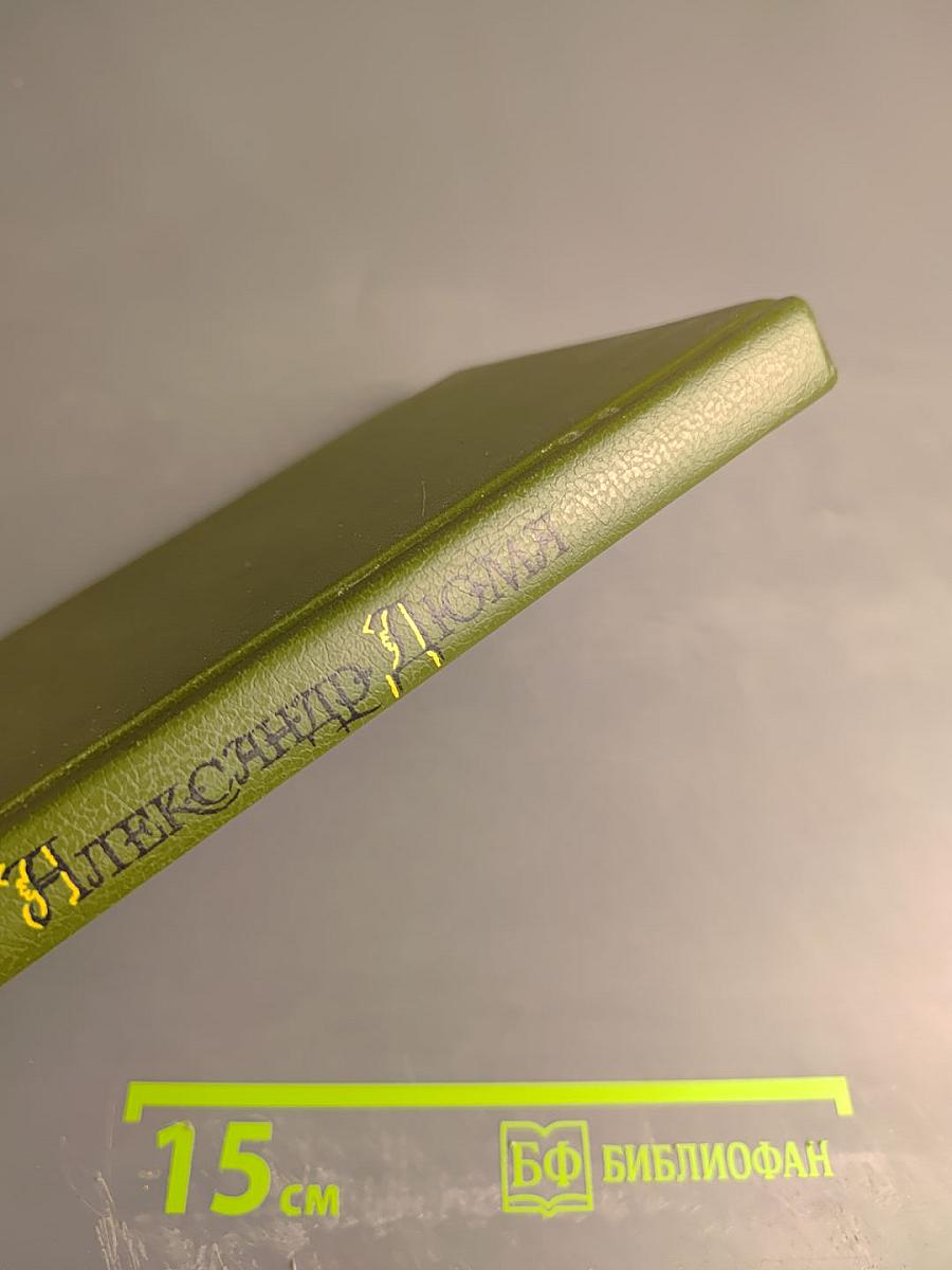 Учитель фехтования, Мученики, Черный тюльпан