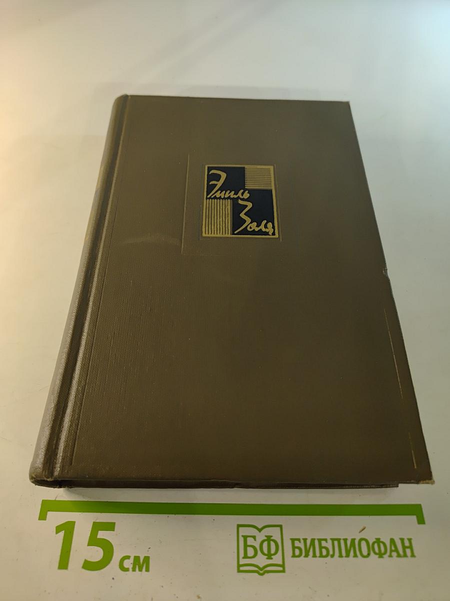 Разгром. Том пятнадцатый