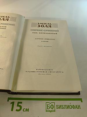 Разгром. Том пятнадцатый