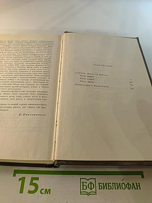 Разгром. Том пятнадцатый