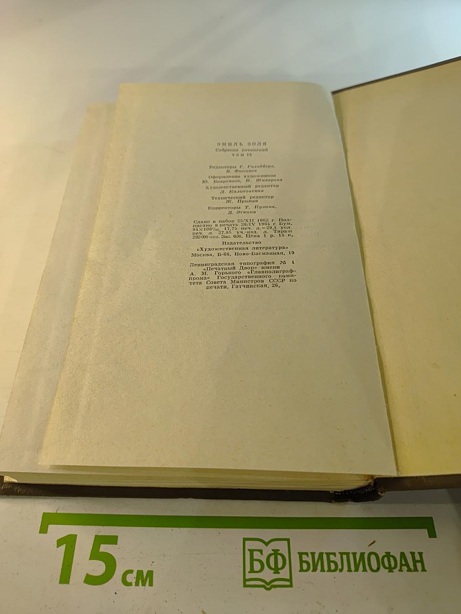 Разгром. Том пятнадцатый