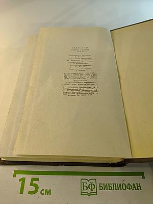 Разгром. Том пятнадцатый