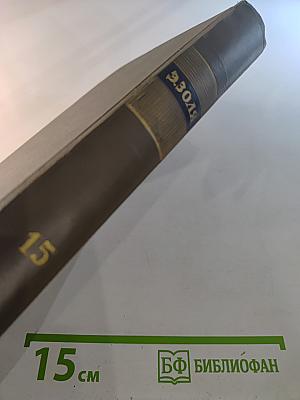 Разгром. Том пятнадцатый