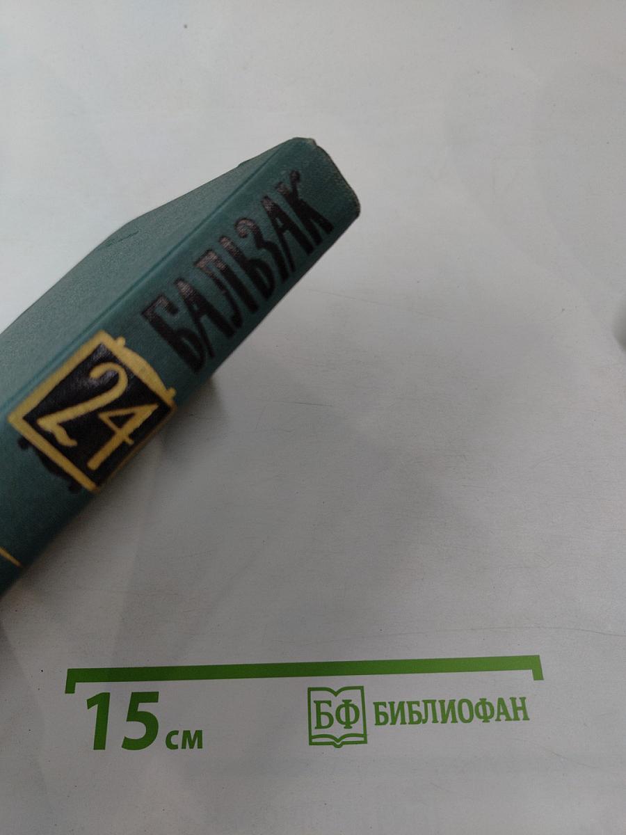 Литературно-критические статьи. Том 24