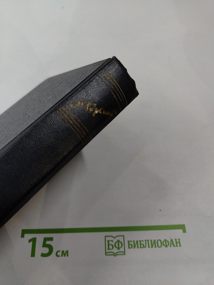 Рассказы, очерки, заметки из дневника, воспоминания 1921-1924. Том 15