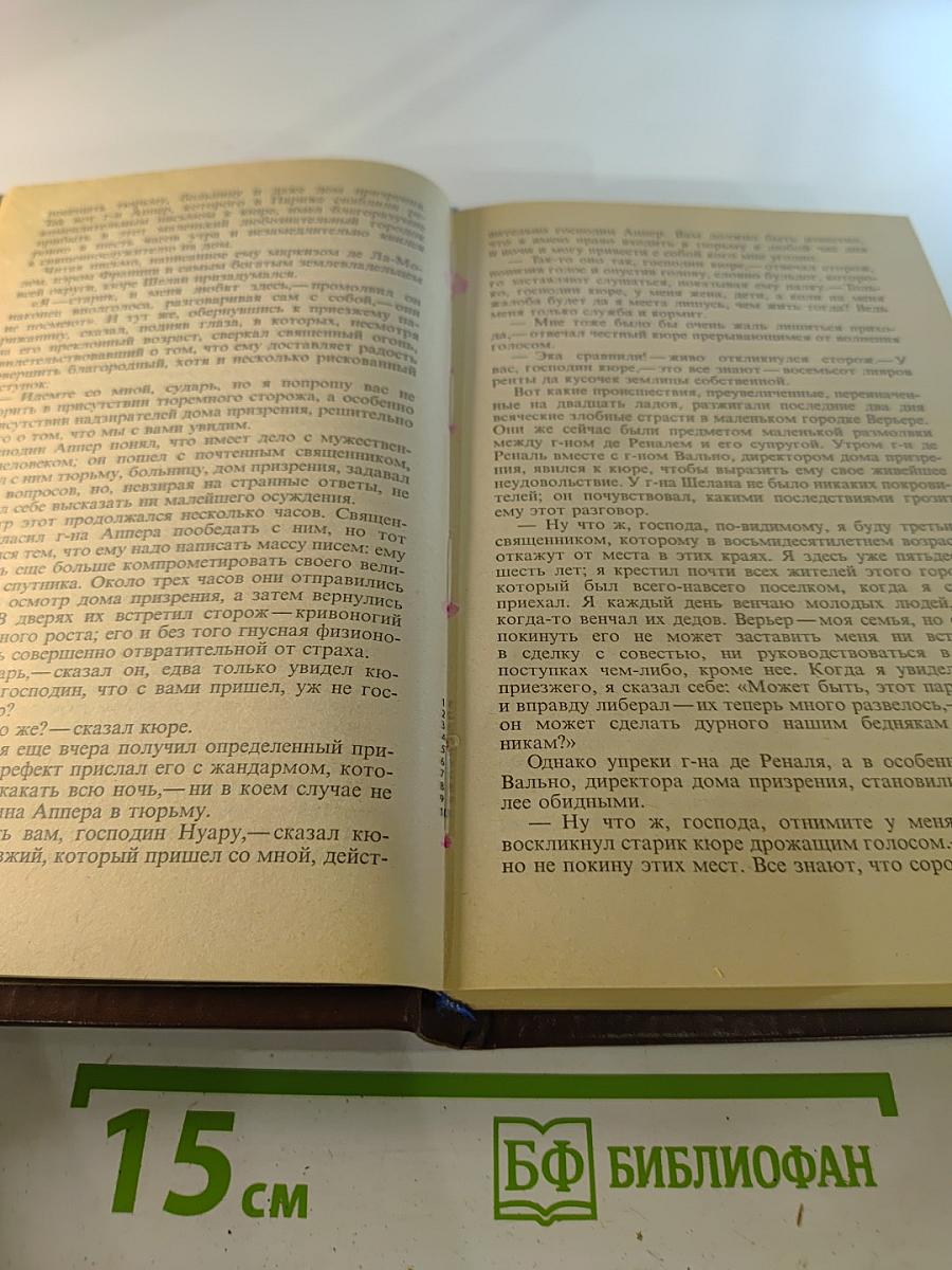 Красное и Черное. Тома 1-2