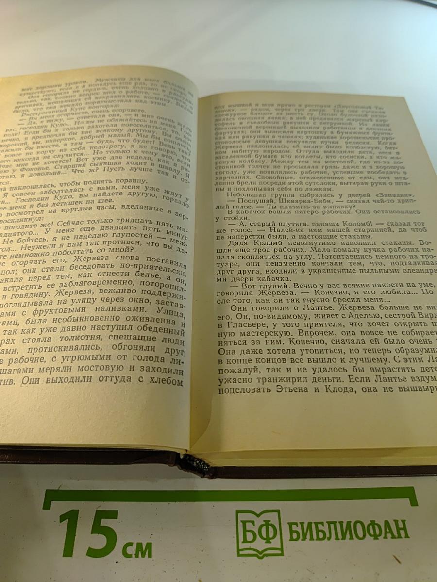 Эмиль Золя. Собрание сочинений в ХХ томах. Том Шестой-Седьмой: Западня, Страница любви