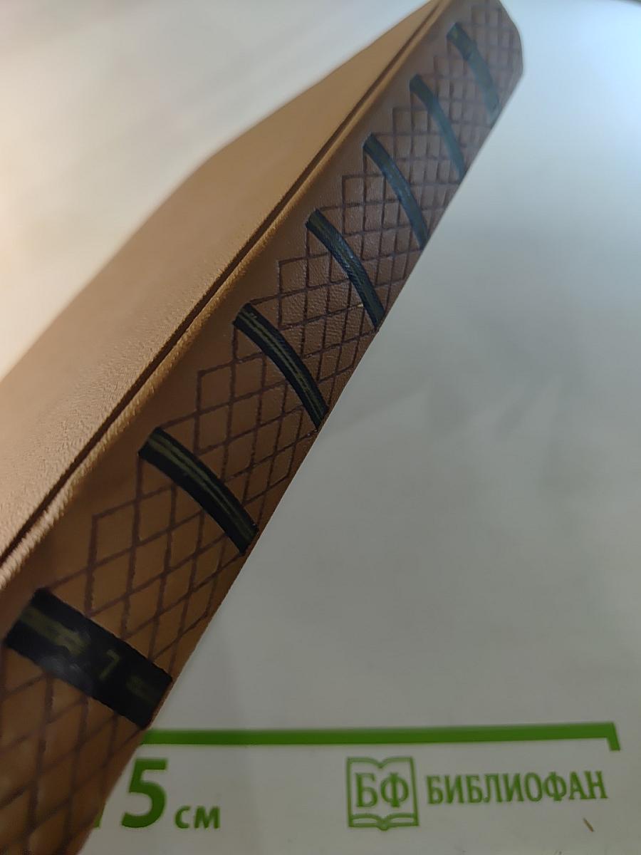 А.С. Пушкин. Собрание сочинений. Том седьмой: История Пугачева. Исторические статьи и материалы. Воспоминания и дневники