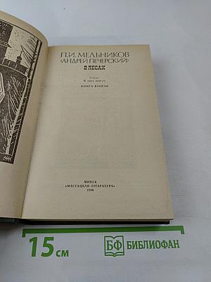 В лесах. Книга вторая