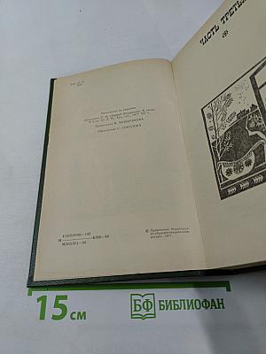 В лесах. Книга вторая