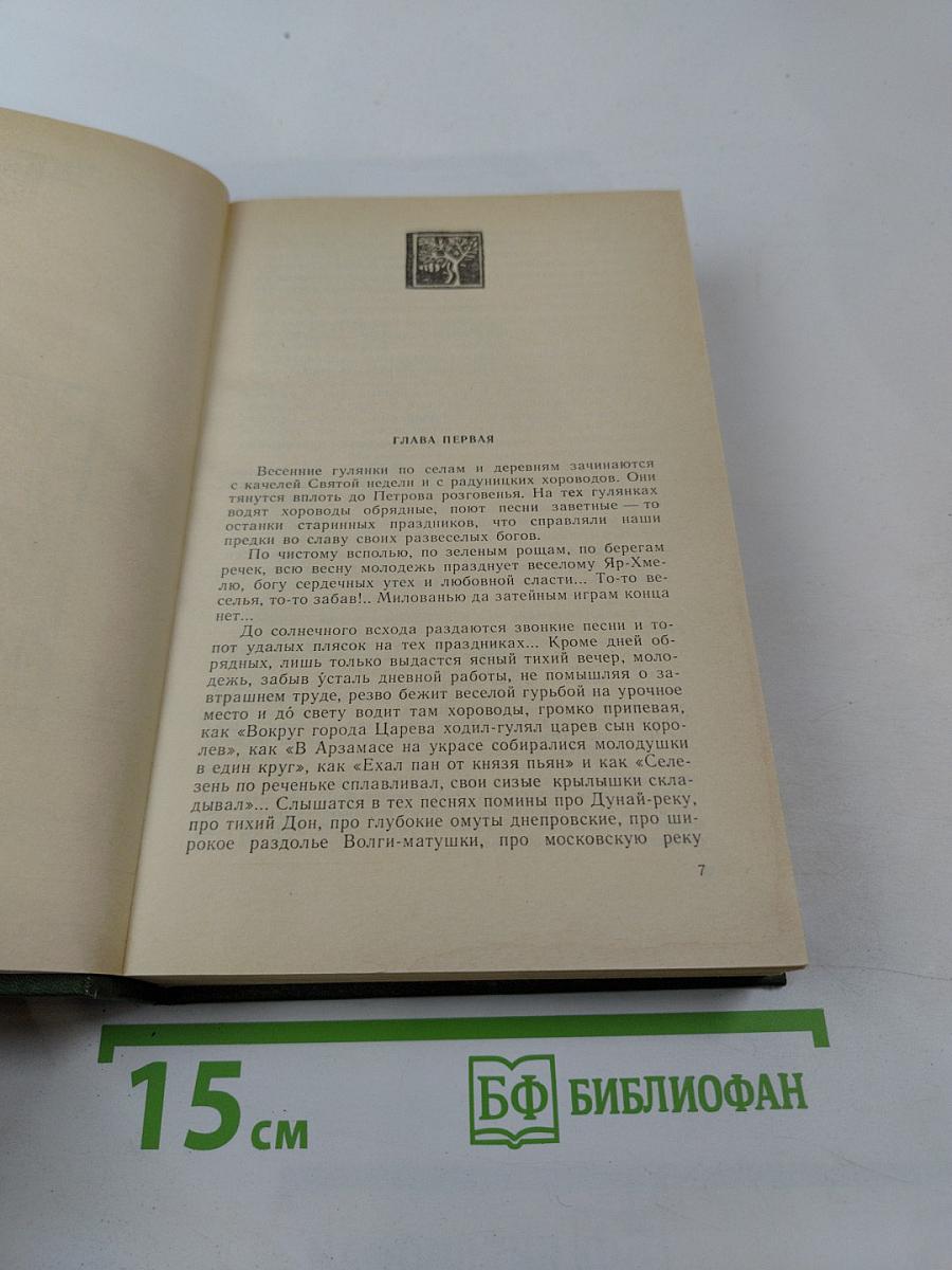 В лесах. Книга вторая