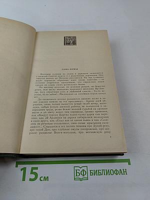 В лесах. Книга вторая