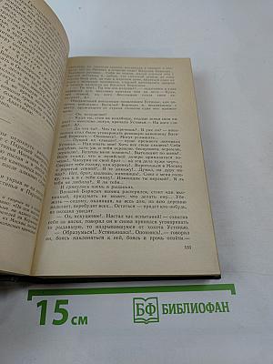 В лесах. Книга вторая