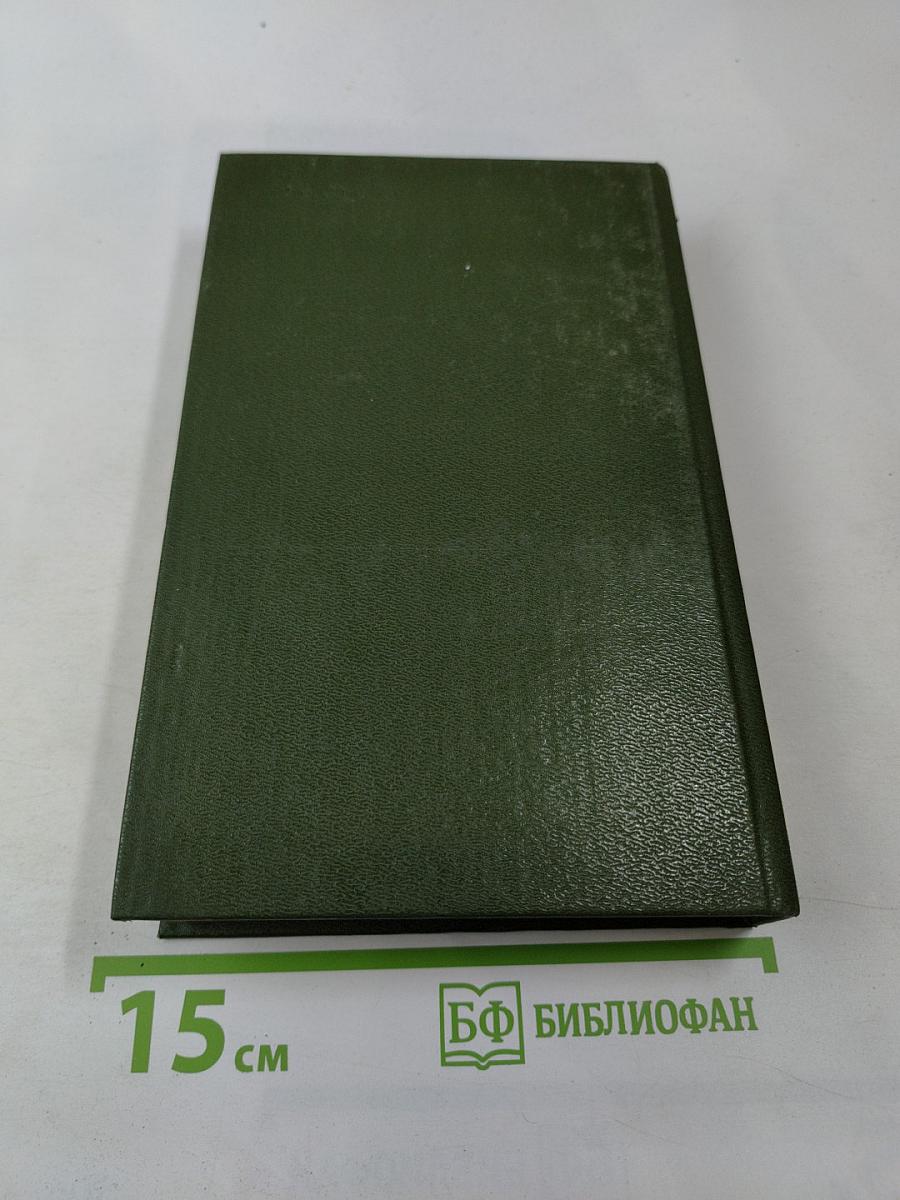 В лесах. Книга вторая