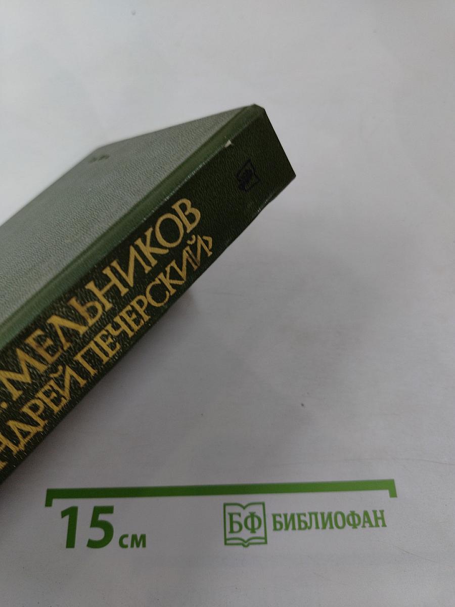 В лесах. Книга вторая