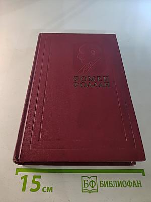 Собрание сочинений. Том тринадцатый. Публицистика (1917-1939)