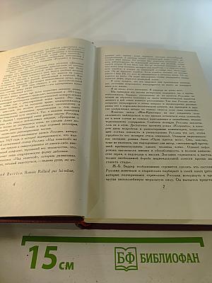 Собрание сочинений. Том тринадцатый. Публицистика (1917-1939)