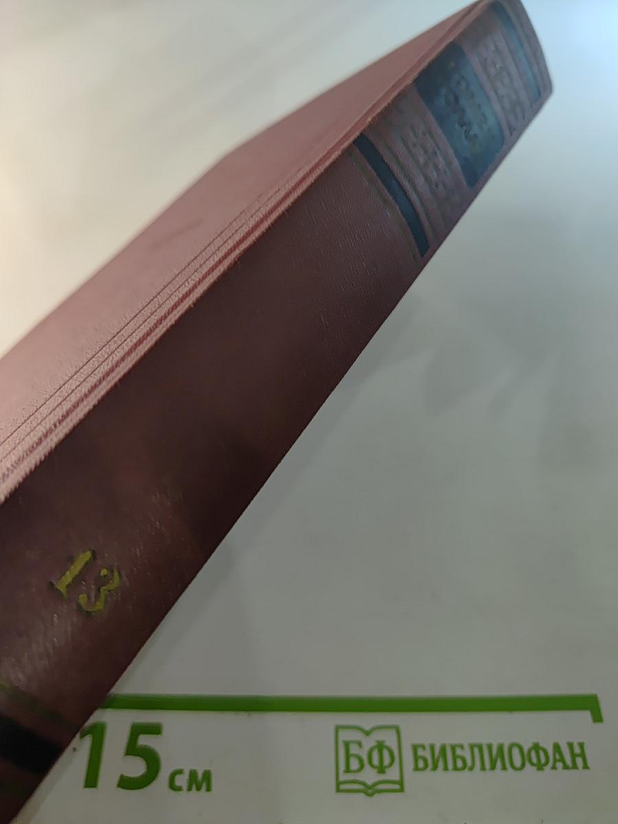 Собрание сочинений. Том тринадцатый. Публицистика (1917-1939)