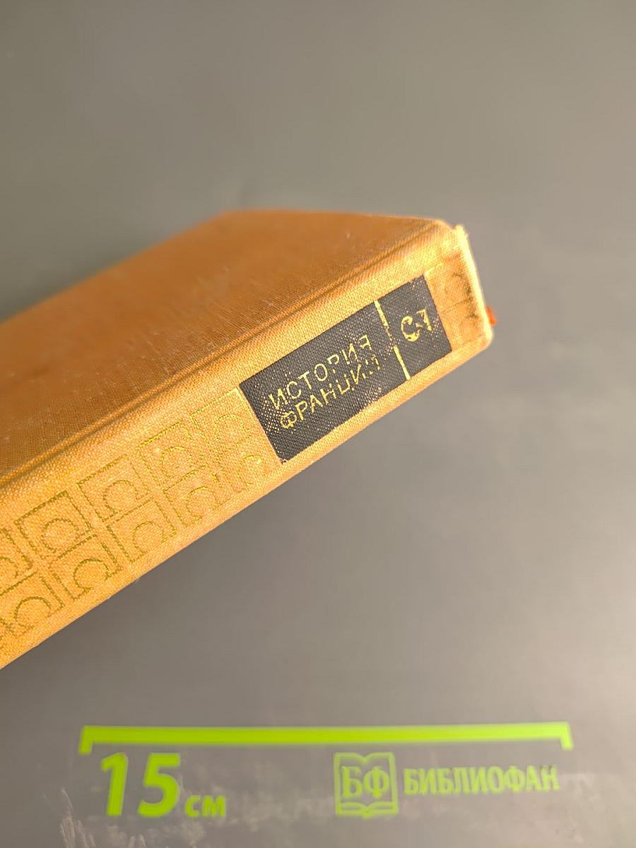 История Франции. Том 3