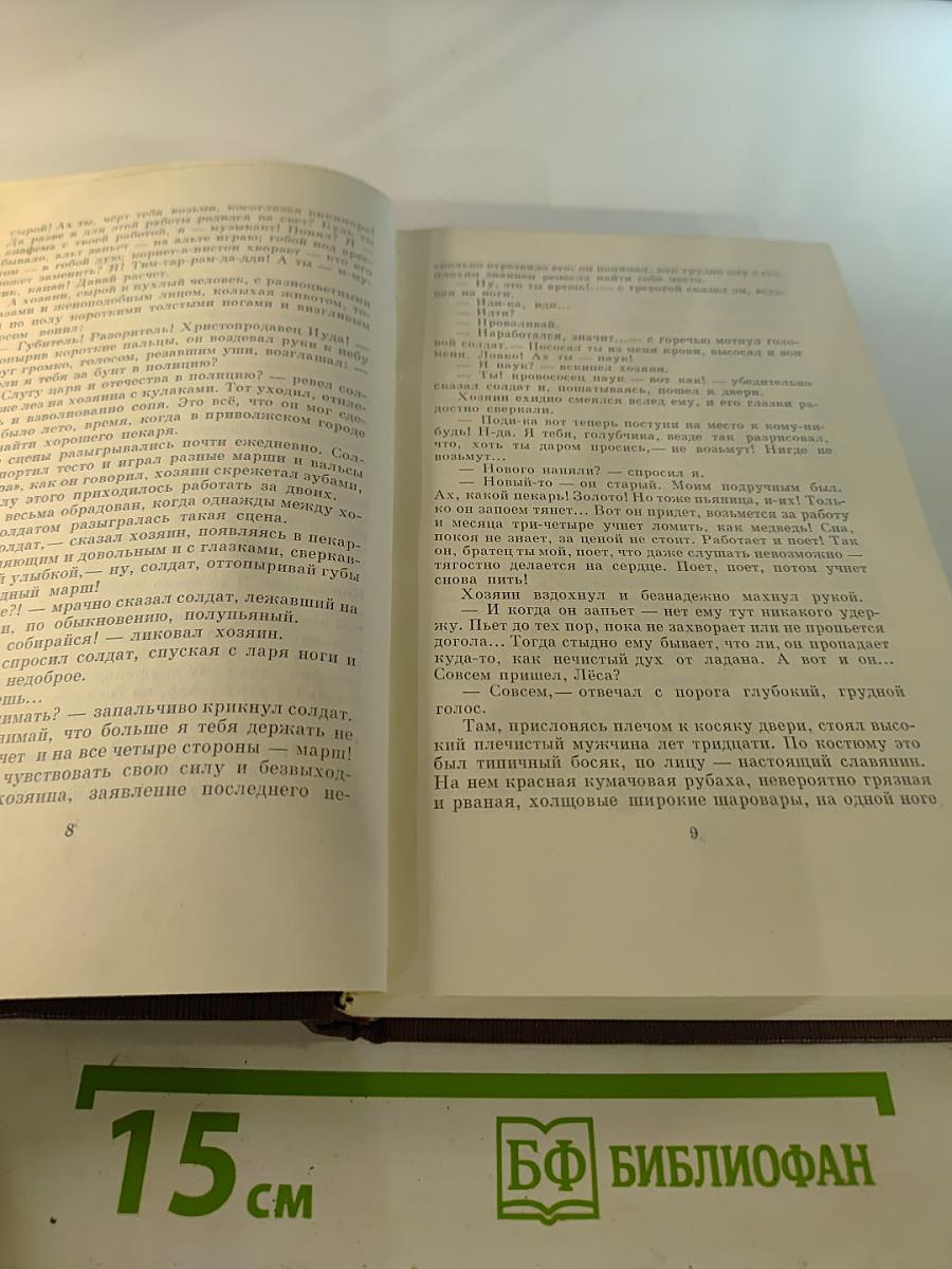 Собрание сочинений в десяти томах. Том третий. Рассказы, очерки 1896-1897