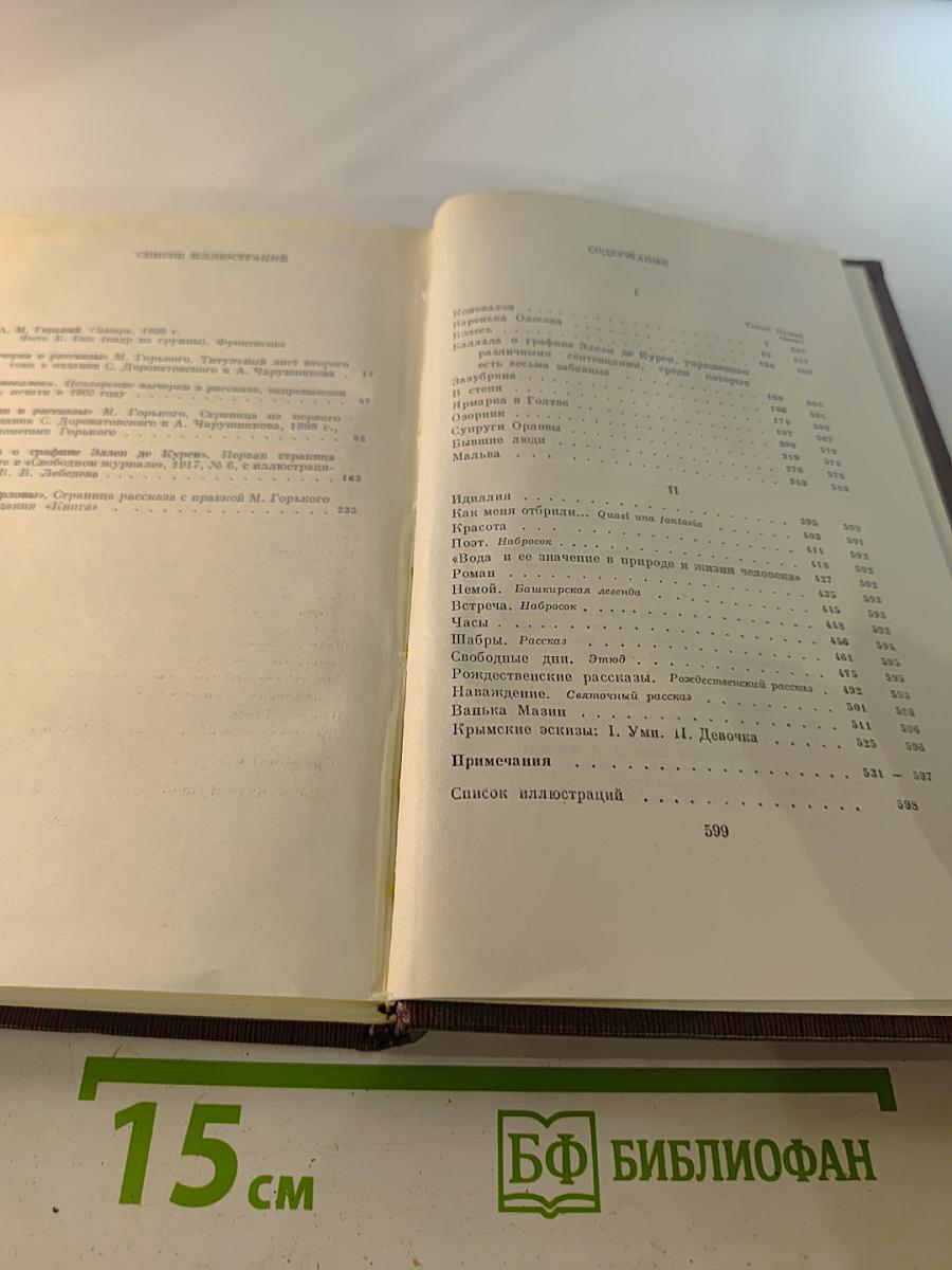 Собрание сочинений в десяти томах. Том третий. Рассказы, очерки 1896-1897