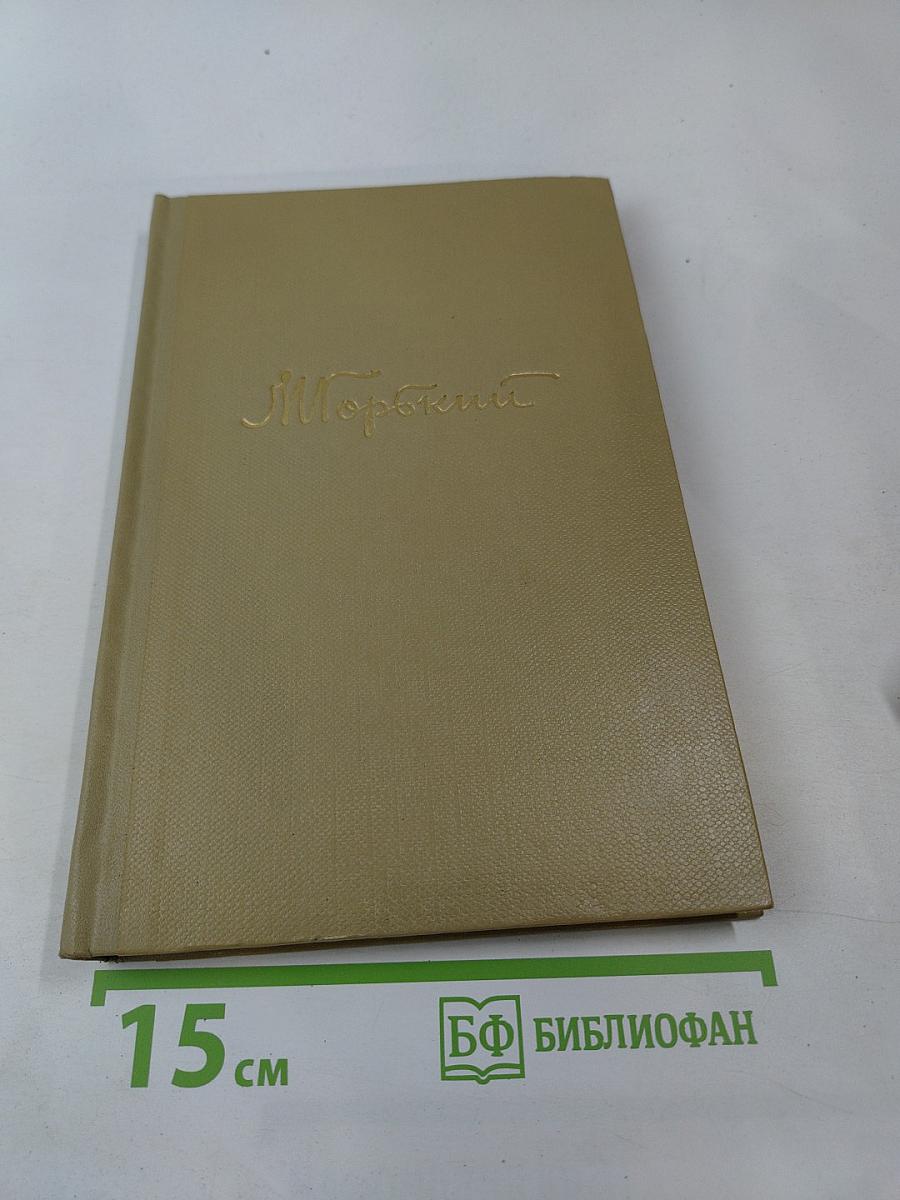 Жизнь Клима Самгина. Том 14. Собрание сочинений