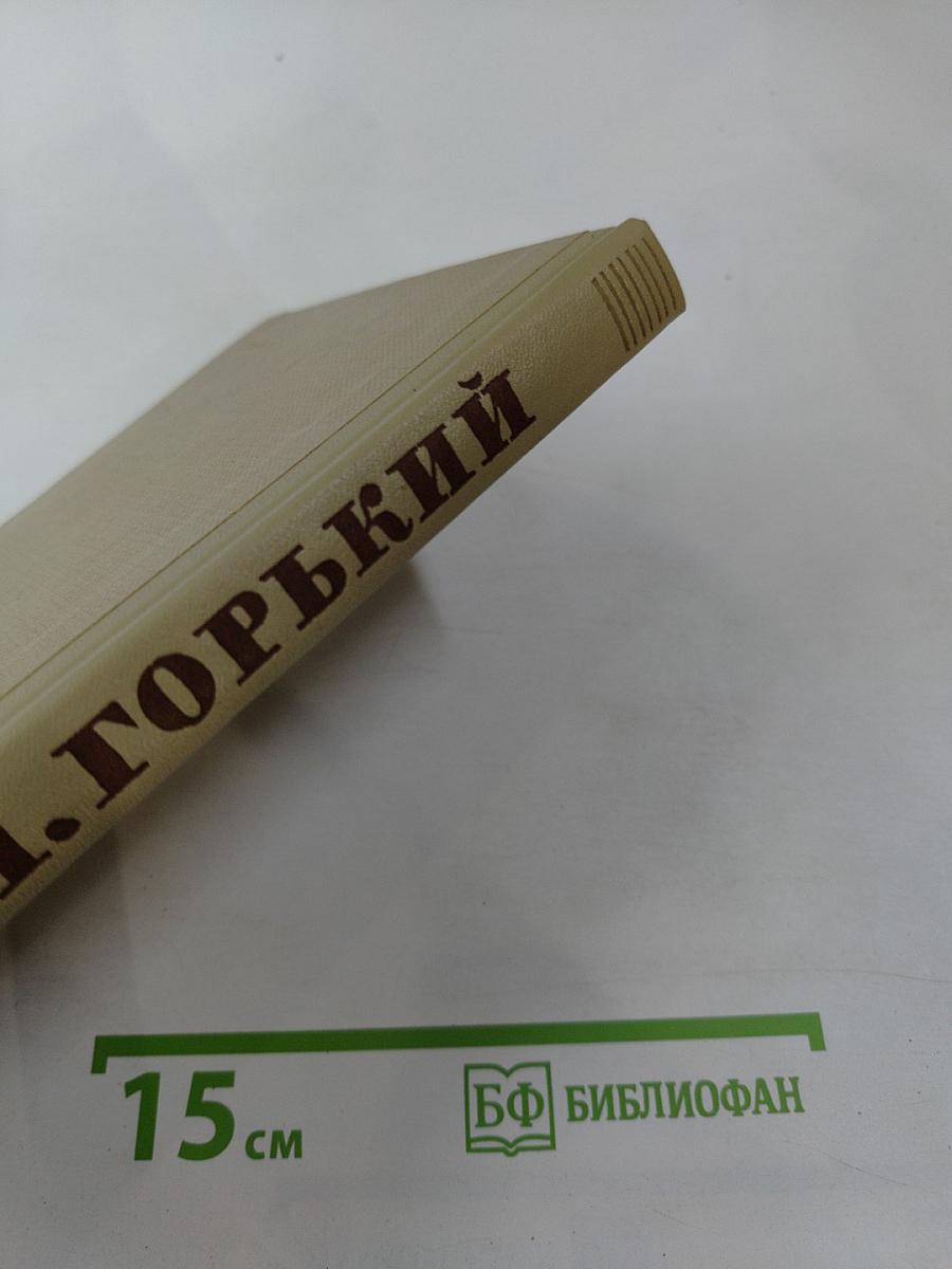 Жизнь Клима Самгина. Том 14. Собрание сочинений