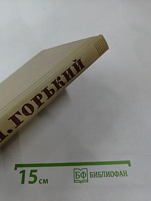 Жизнь Клима Самгина. Том 14. Собрание сочинений