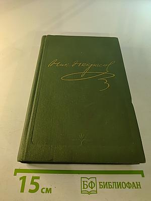 Полное собрание сочинений в пятнадцати томах. Том 10. Книга II. Мертвое озеро