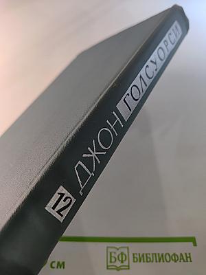 Собрание сочинений в шестнадцати томах. Том 12