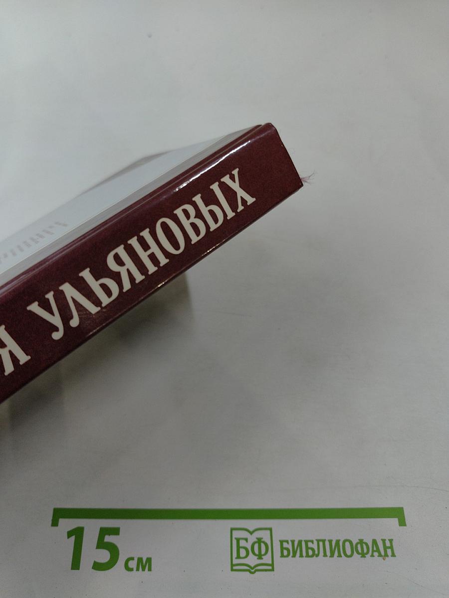 Семья Ульяновых