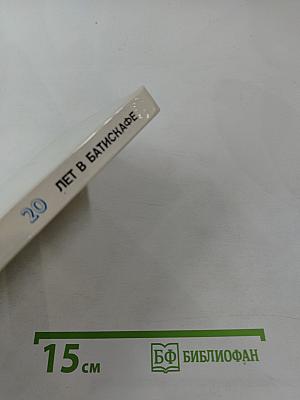 20 лет в батискафе