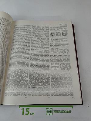 Большая Советская Энциклопедия, Том 6: Газлифт - Гоголево