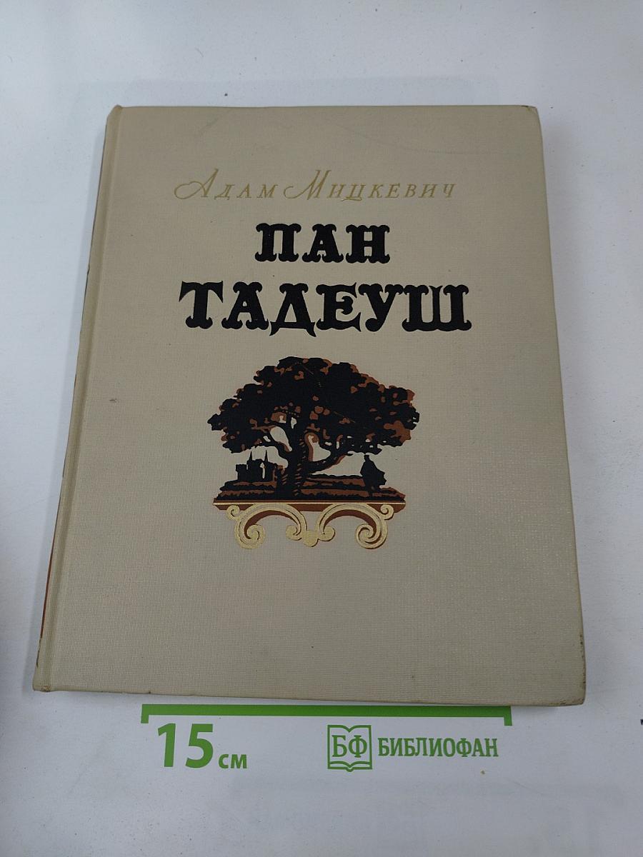 Пан Тадеуш, или Последний наезд на Литве