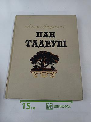 Пан Тадеуш, или Последний наезд на Литве