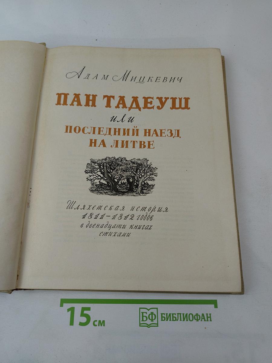 Пан Тадеуш, или Последний наезд на Литве