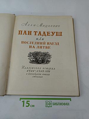 Пан Тадеуш, или Последний наезд на Литве