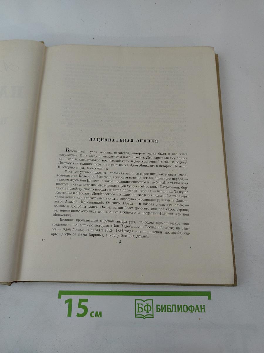 Пан Тадеуш, или Последний наезд на Литве