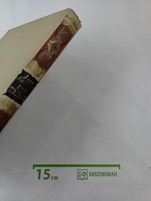 Пан Тадеуш, или Последний наезд на Литве