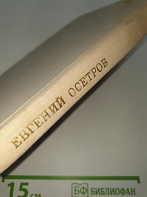 Мир Игоревой песни
